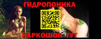 индика Малгобек