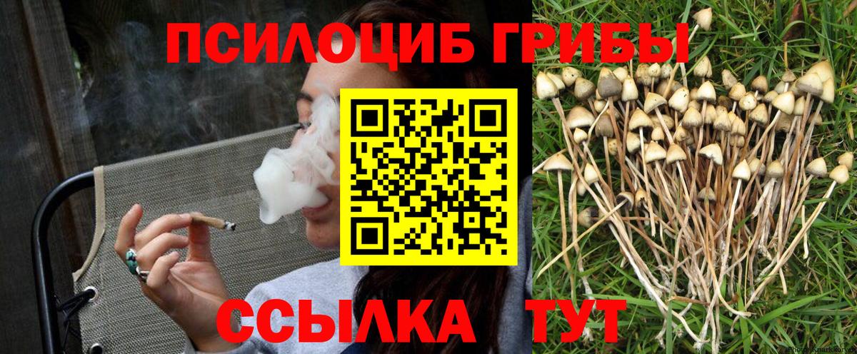 Псилоцибиновые грибы MAGIC MUSHROOMS Чайковский