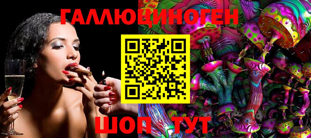Чайковский  Галлюциногенные грибы Psilocybine cubensis  Вход с VPN  Галлюциногенные грибы Cubensis 